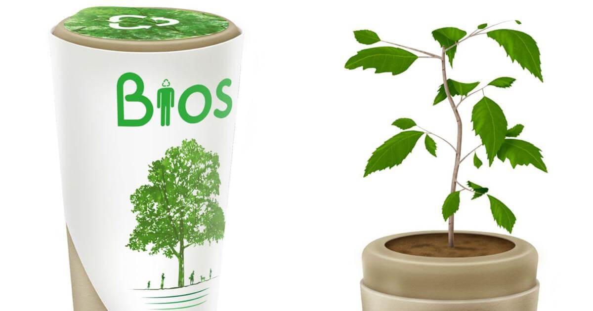 urna biodegradável