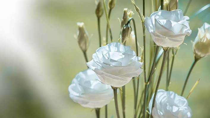coroa de flores para velório