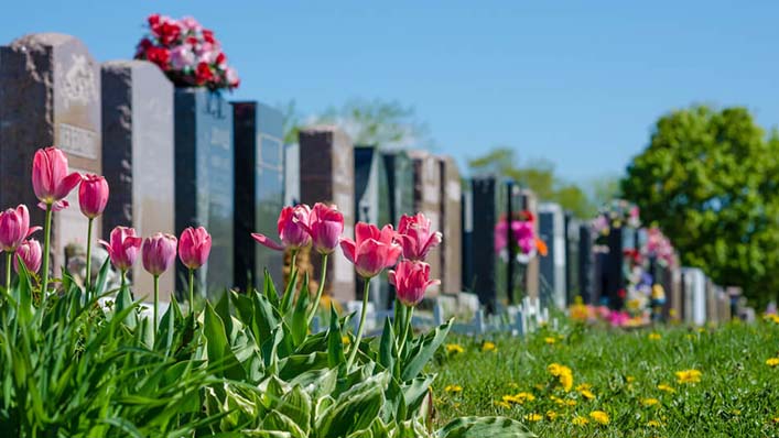 MANUTENÇÃO DE JAZIGO 1