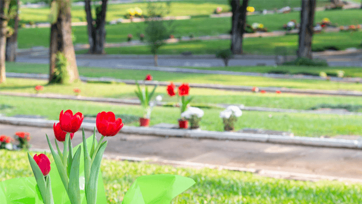 cemitério gethsêmani - texto